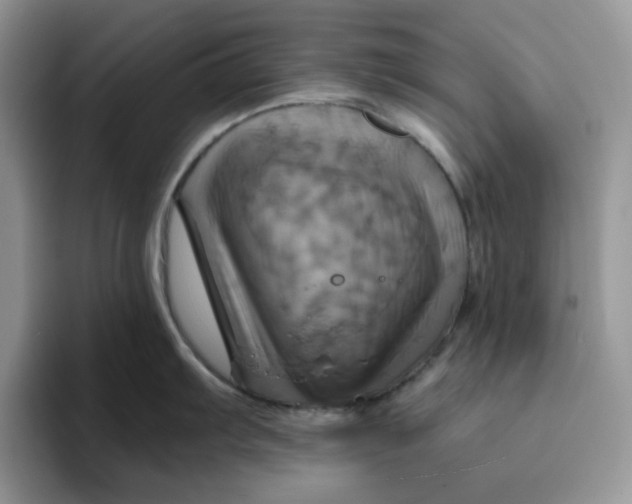 X0000093221103200710171355