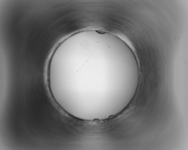 X0000093221104200710171355