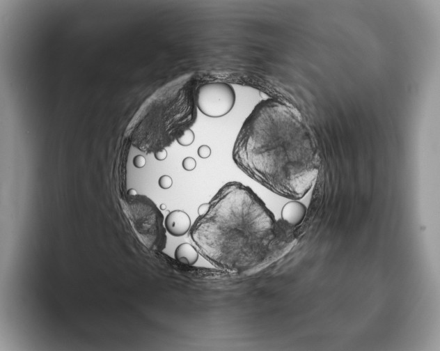 X0000093221105200710171354