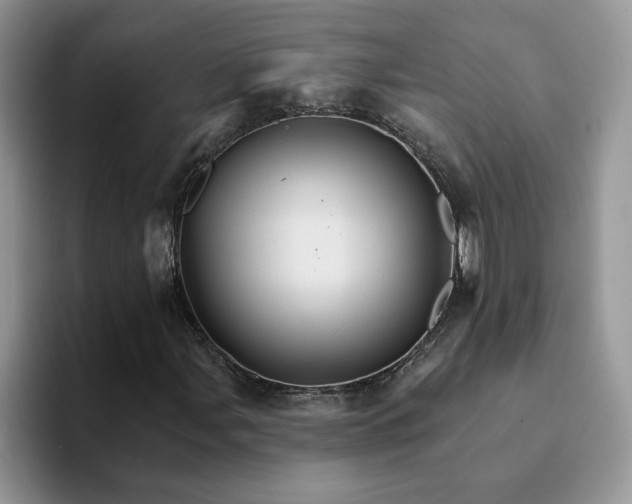 X0000093221107200710171354