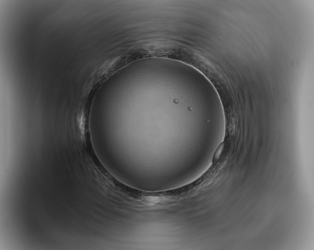 X0000093221108200710171354