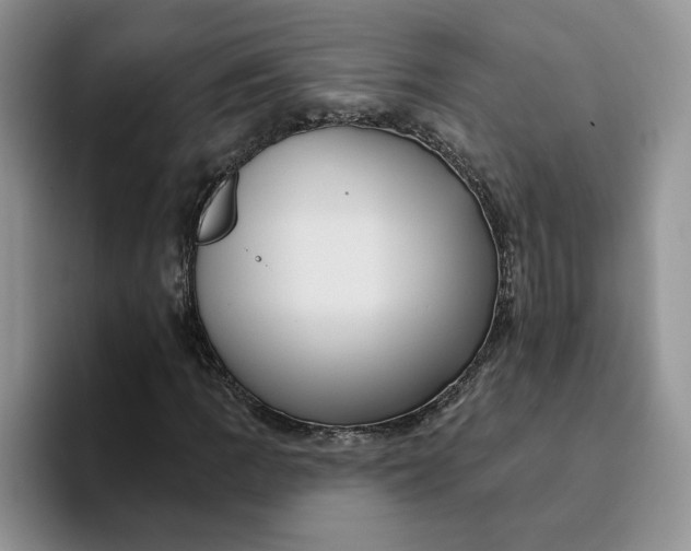 X0000093221109200710171354