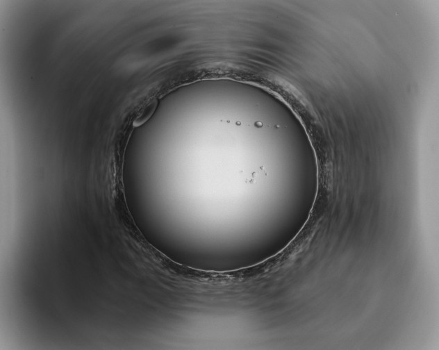 X0000093221111200710171354