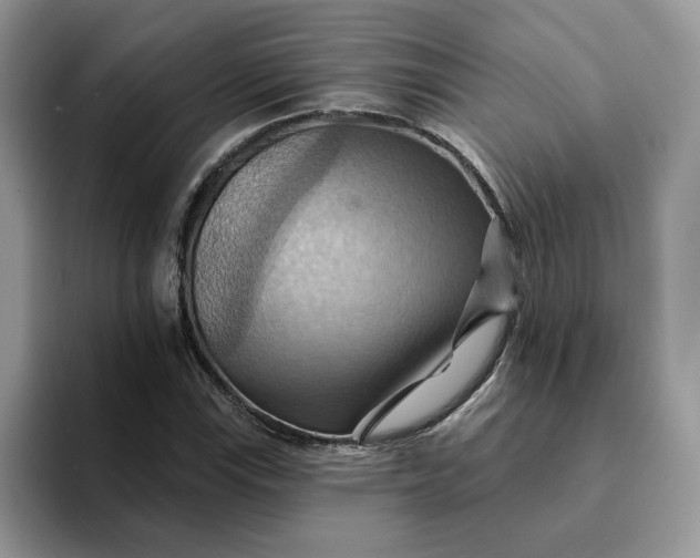 X0000093221115200710171354