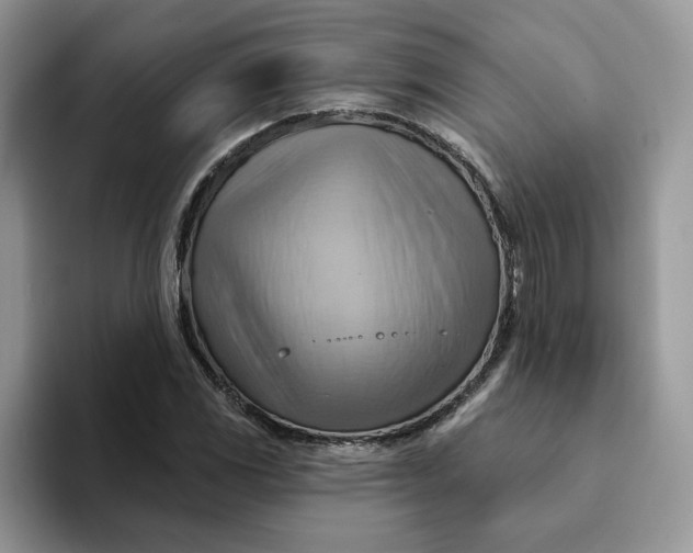 X0000093221117200710171354