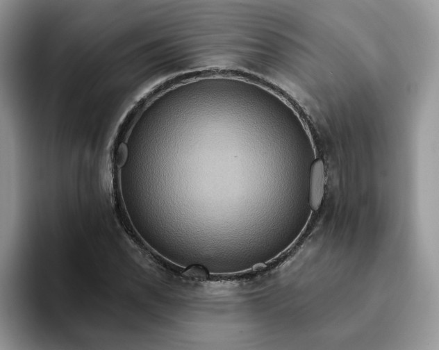 X0000093221118200710171354