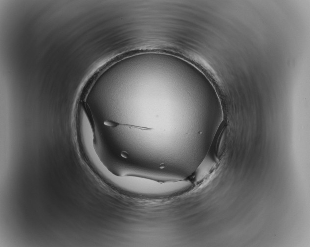 X0000093221122200710171354