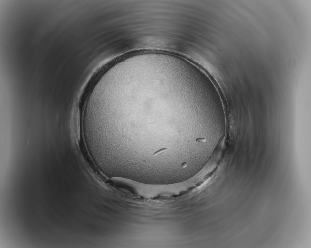 X0000093221123200710171354