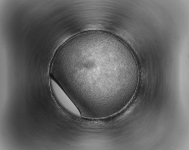 X0000093221129200710171354