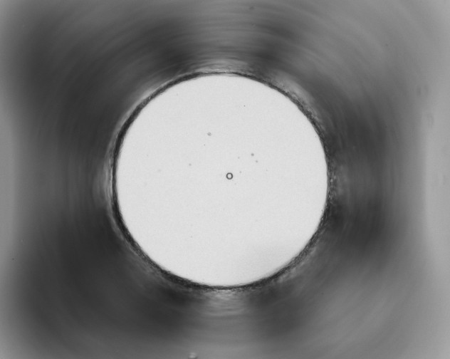 X0000093221130200710171354