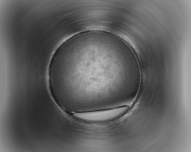 X0000093221133200710171354