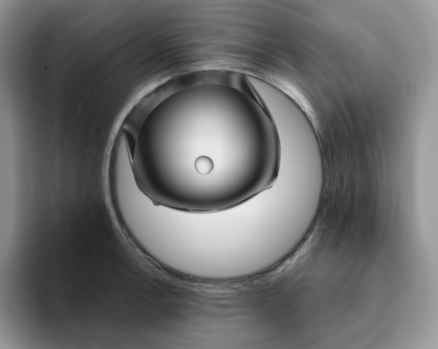 X0000093221138200710171355