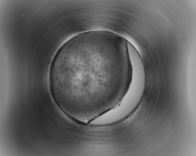 X0000093221142200710171355