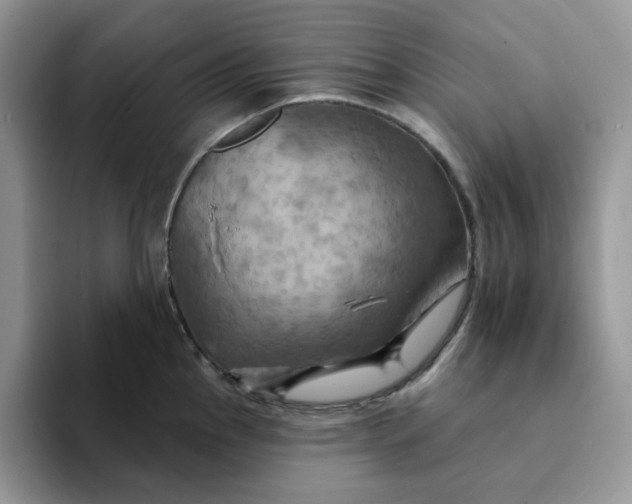 X0000093221145200710171355