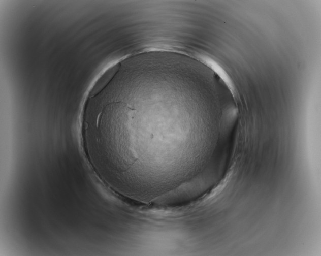 X0000093221146200710171355