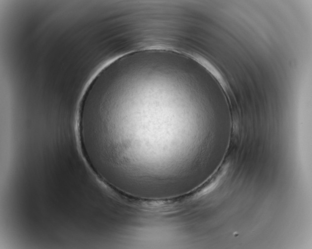 X0000093221149200710171355