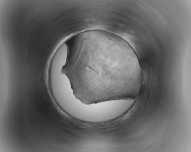 X0000093221151200710171355