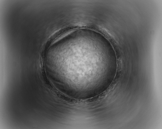 X0000093221158200710171354