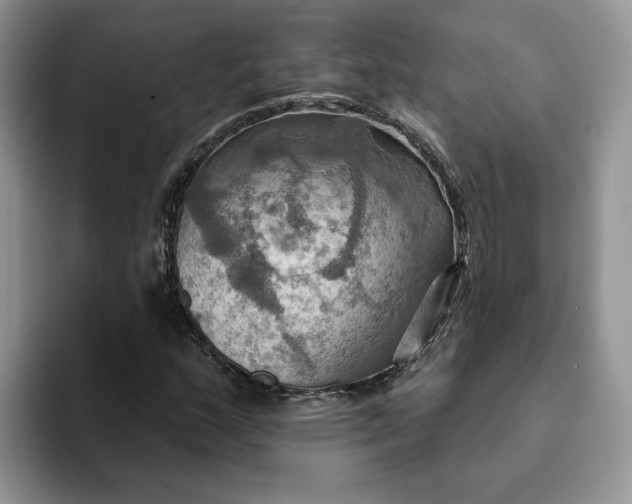 X0000093221159200710171354