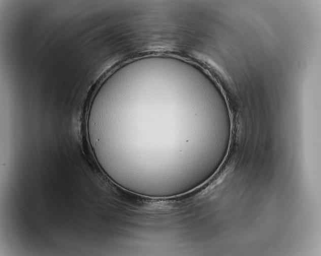 X0000093221162200710171354