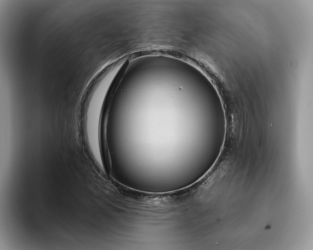 X0000093221165200710171354