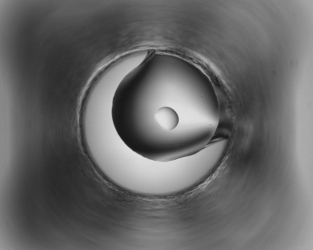 X0000093221168200710171354