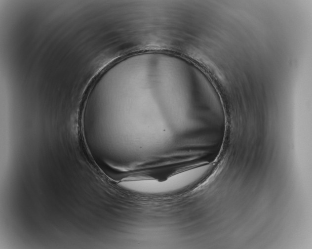 X0000093221170200710171354