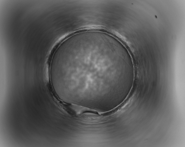 X0000093221171200710171354