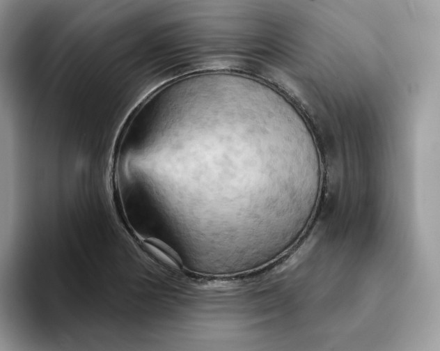 X0000093221178200710171354