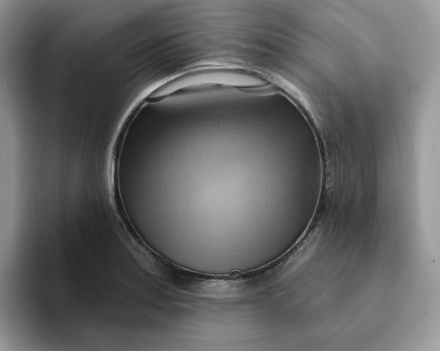 X0000093221179200710171354