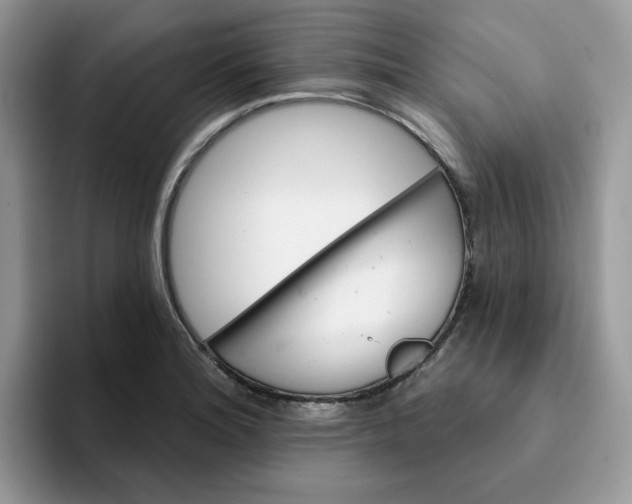 X0000093221180200710171354