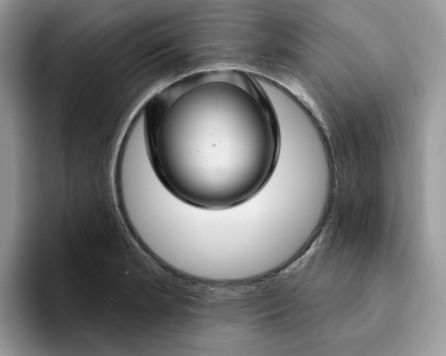 X0000093221181200710171354