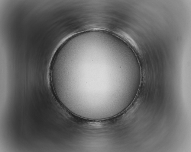 X0000093221182200710171354