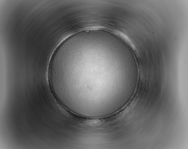 X0000093221186200710171354