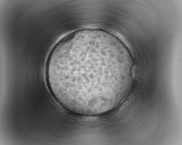 X0000093221187200710171354