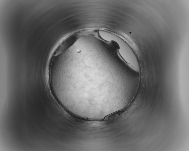 X0000093221188200710171354