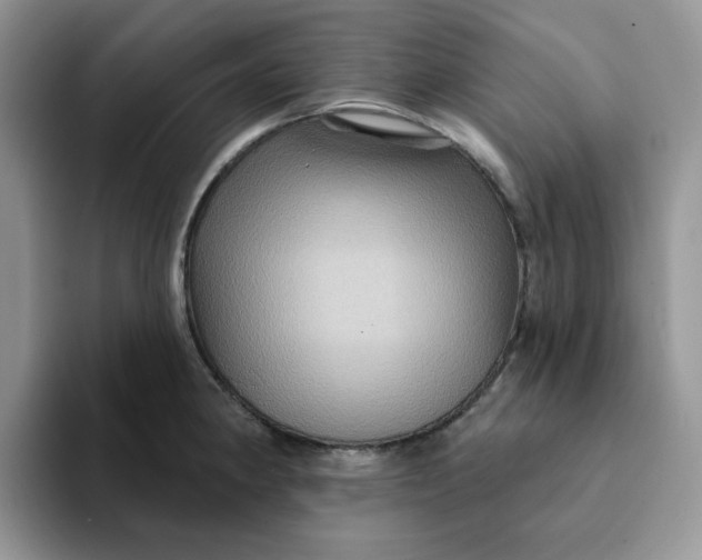 X0000093221190200710171354