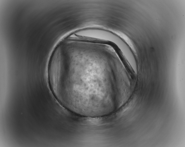 X0000093221191200710171354