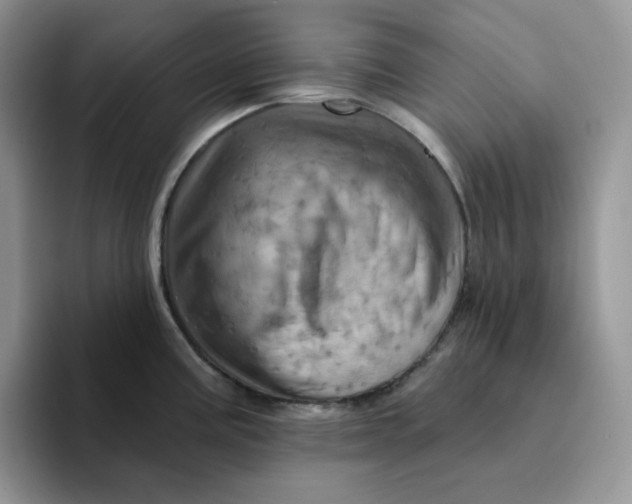 X0000093221195200710171354