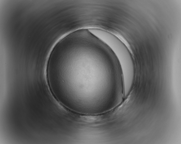 X0000093221197200710171354