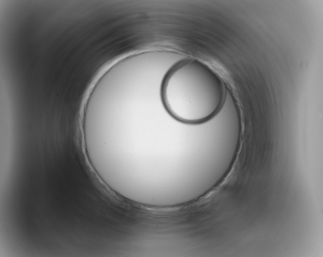 X0000093221200200710171354