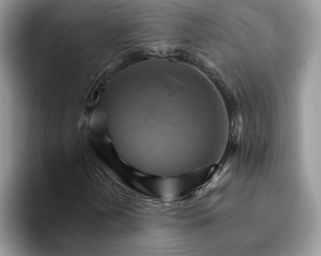 X0000093221202200710171353