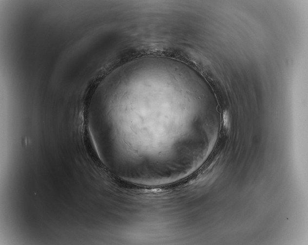 X0000093221203200710171353