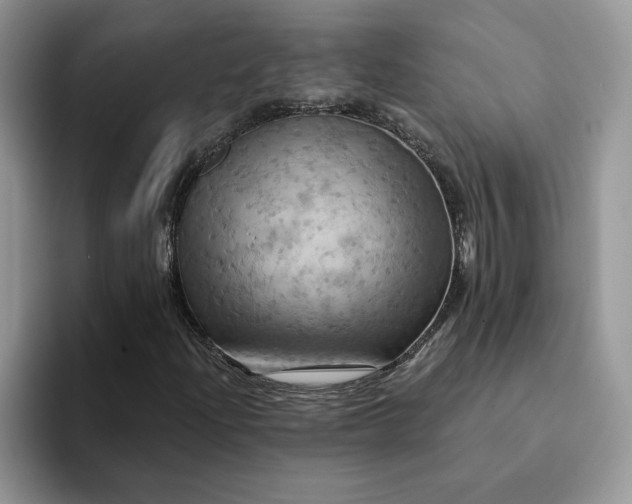 X0000093221204200710171353