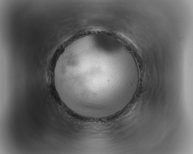 X0000093221207200710171353