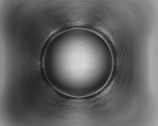 X0000093221210200710171353