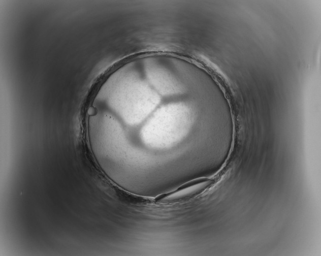 X0000093221215200710171353