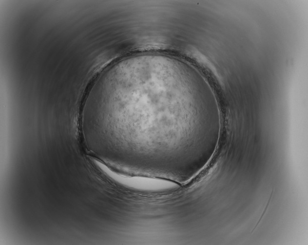 X0000093221217200710171353