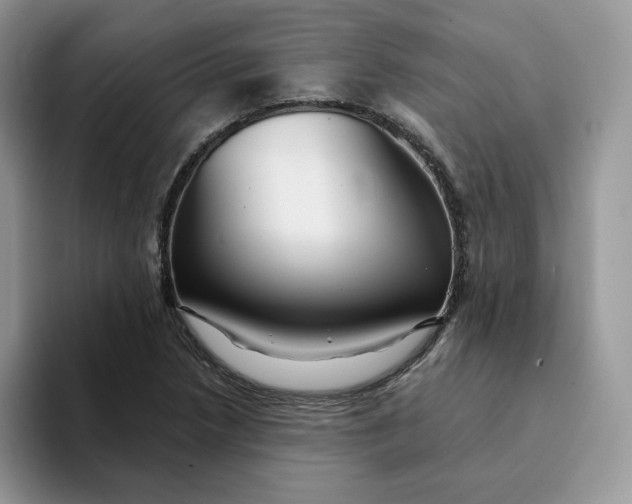 X0000093221218200710171353