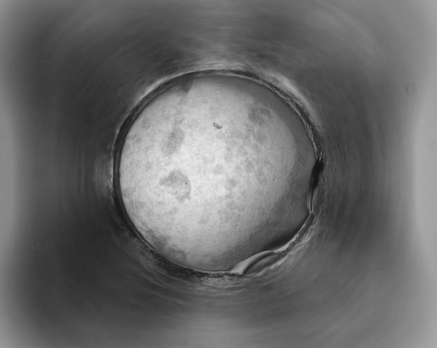 X0000093221220200710171353